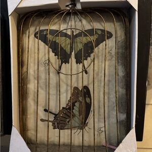two caged butterfly picture .. one boxed and one not